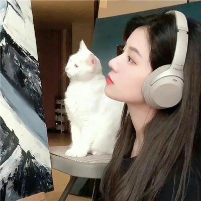 暹罗复兴录